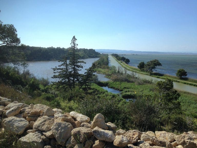 Camping Le Fun : Ile Ste Lucie Canal De La Robine