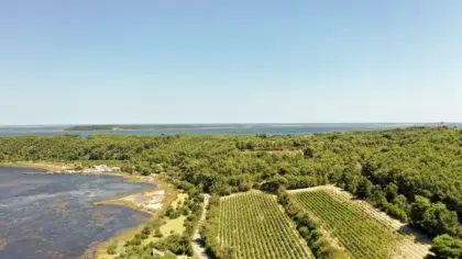 AdobeStock 405118822