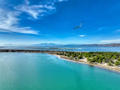 AdobeStock 493220979