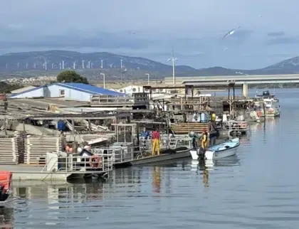 Aldea ostrícola leucate 5 village ostreicole leucate