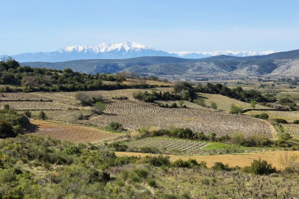 AdobeStock 218389333