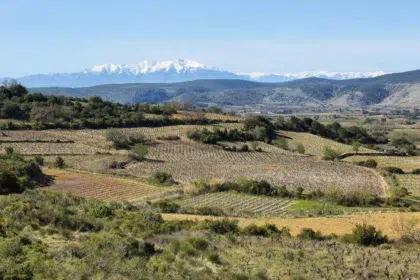 Tuchan 5 AdobeStock 218389333