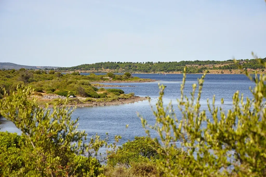 etang leucate camping