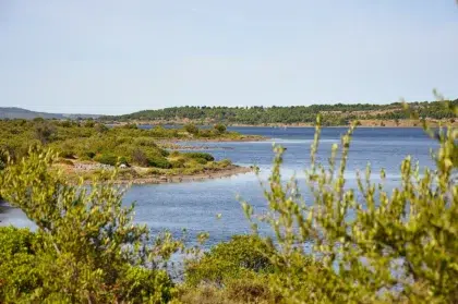 etang leucate camping